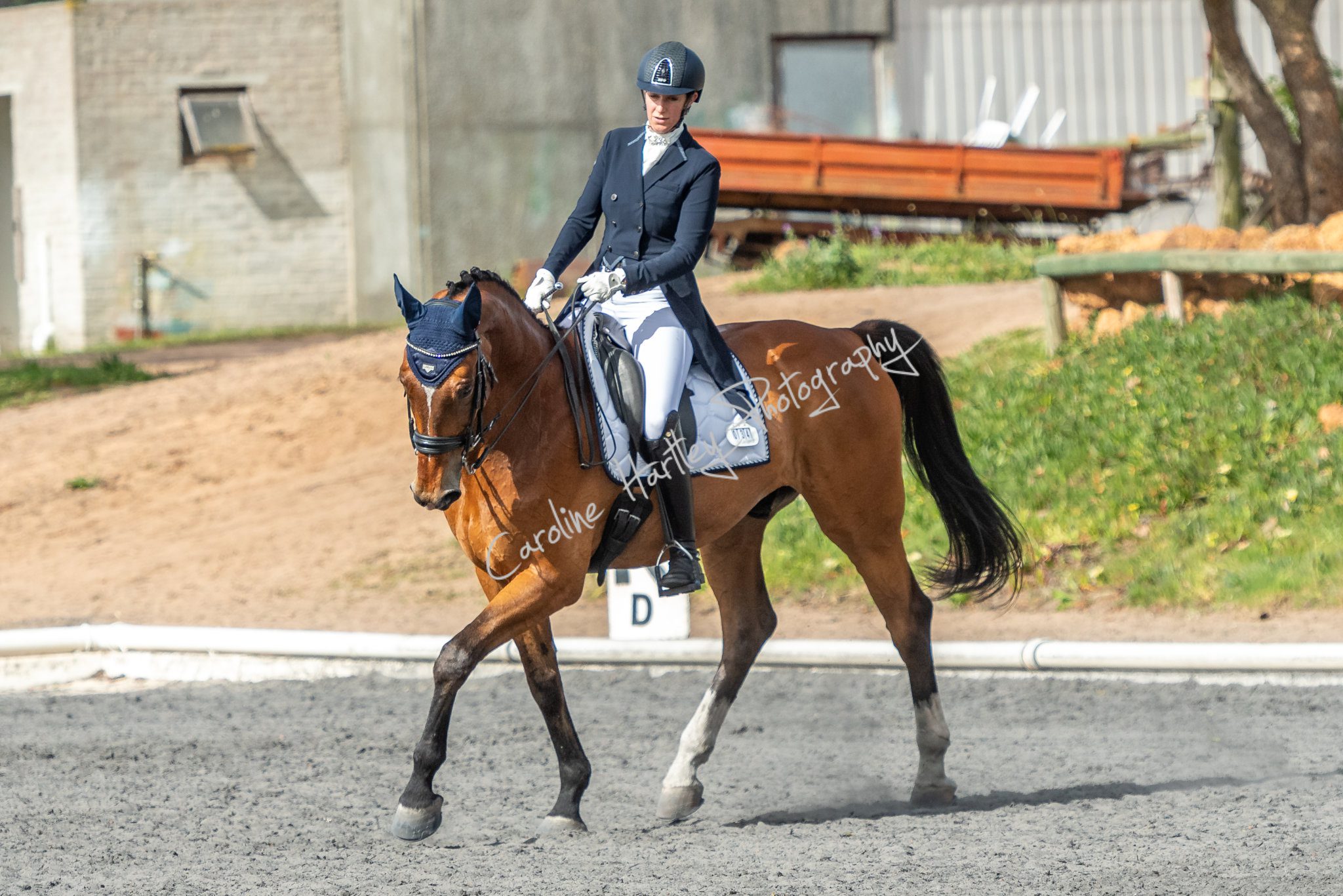 CHP Dressage 01