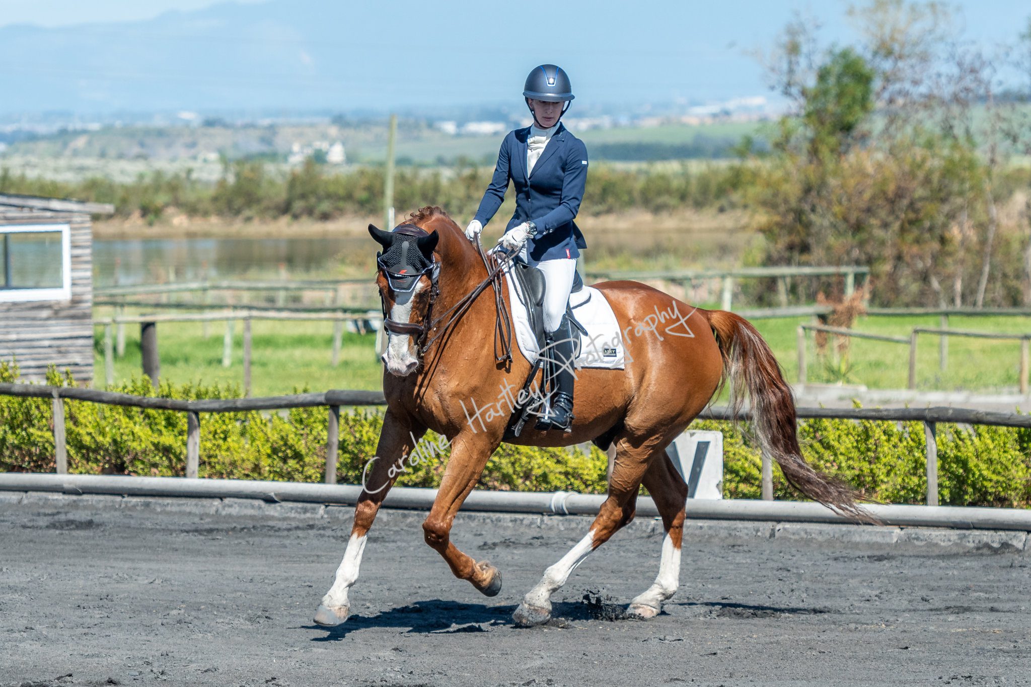 CHP Dressage 06