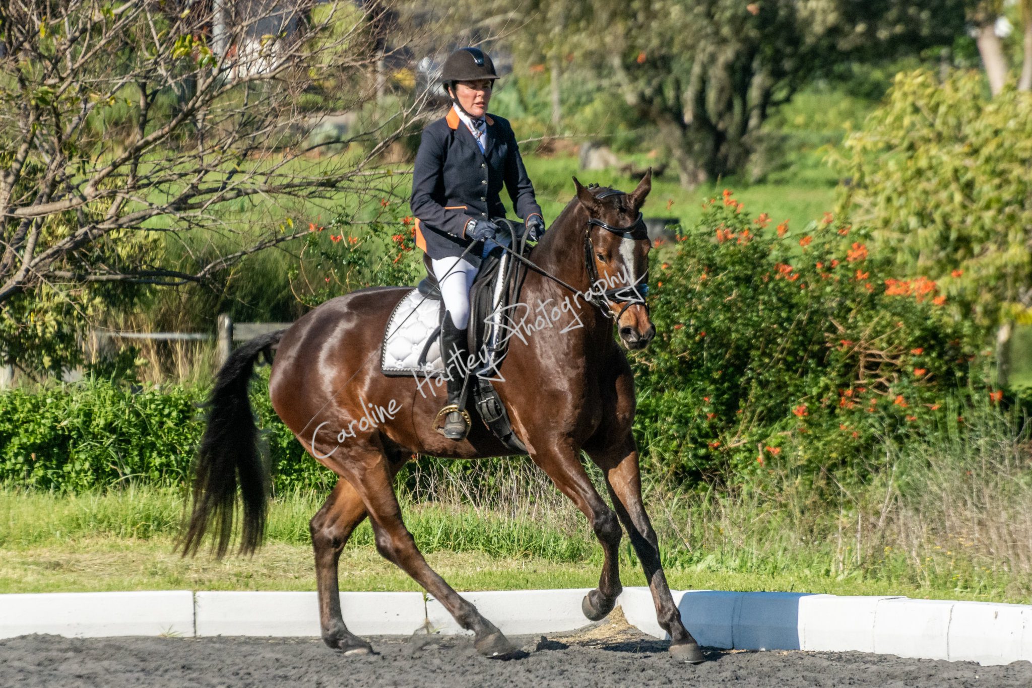 CHP Dressage 07