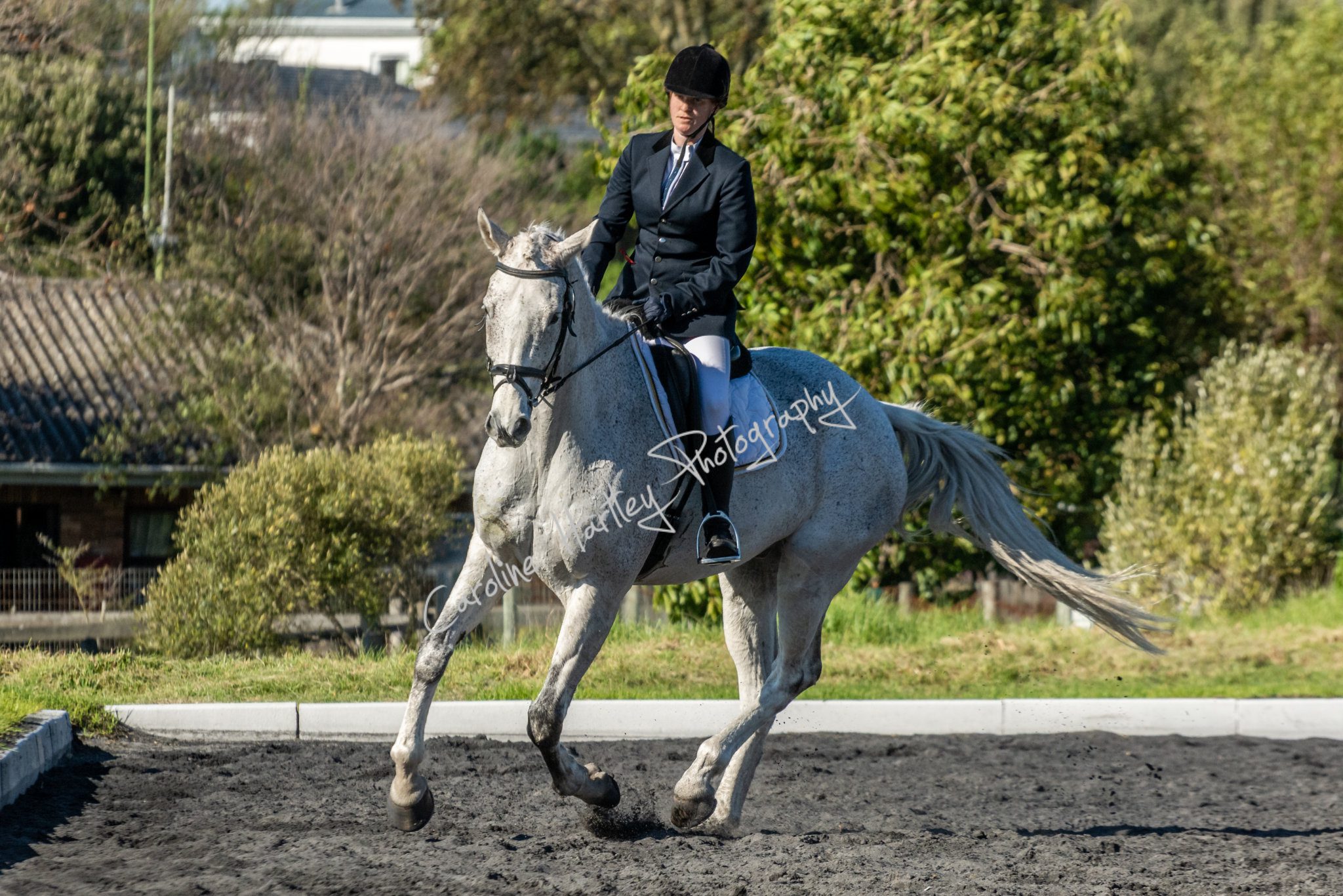 CHP Dressage 08