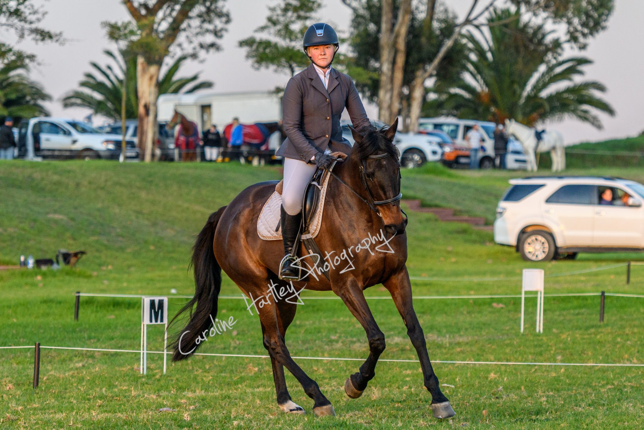 CHP Equine Cross Country 03