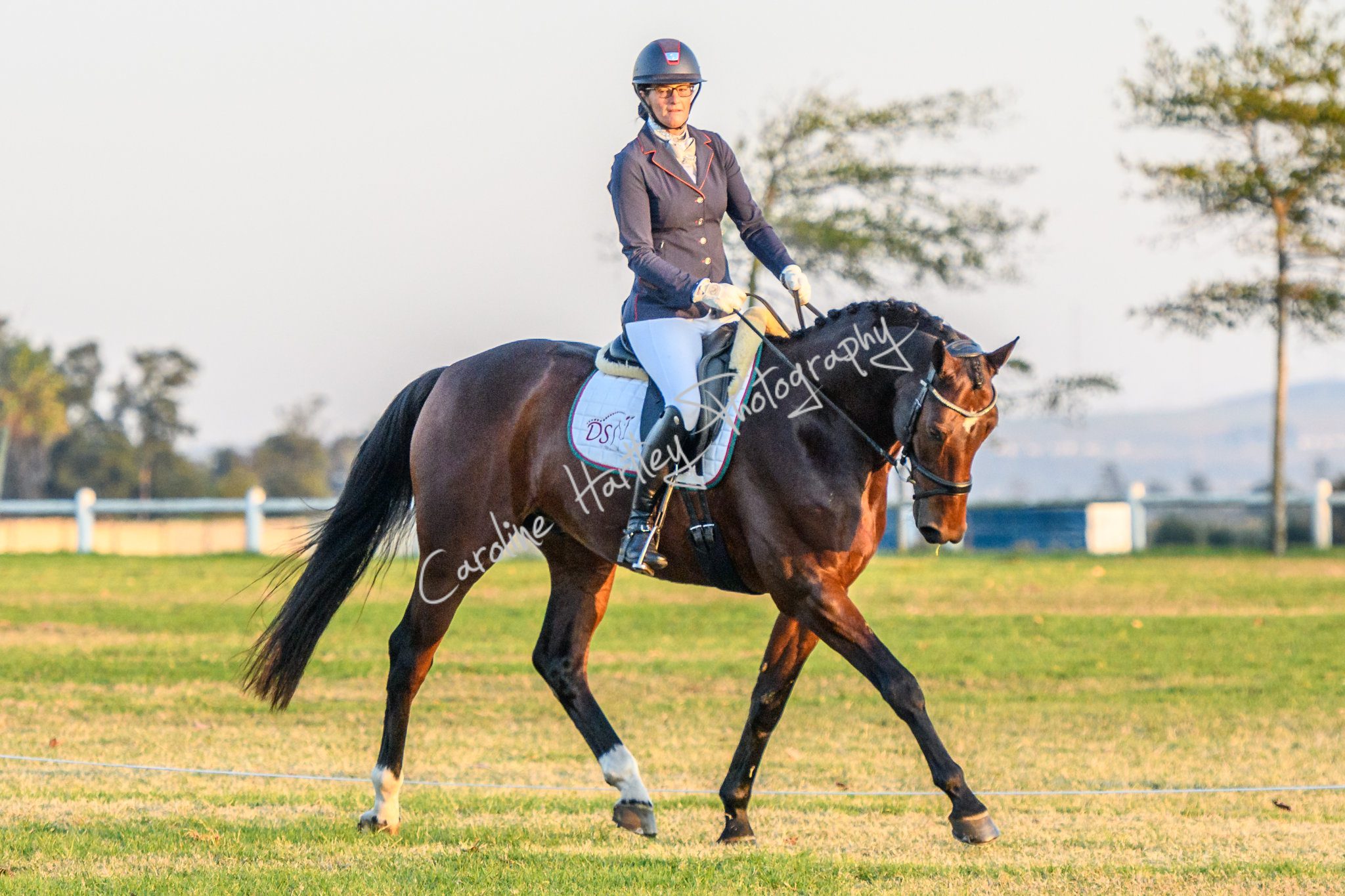 CHP Equine Cross Country 04