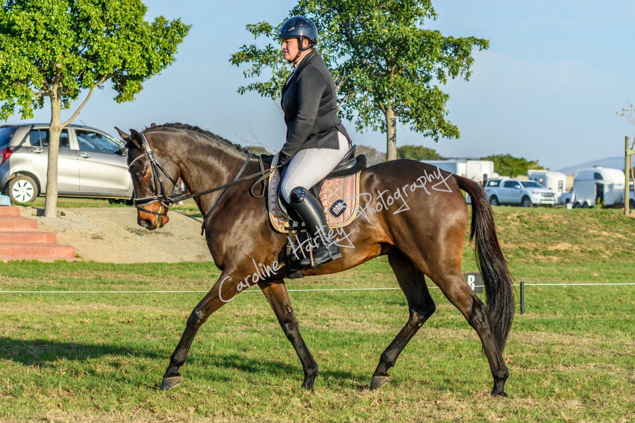 CHP Equine Cross Country 05