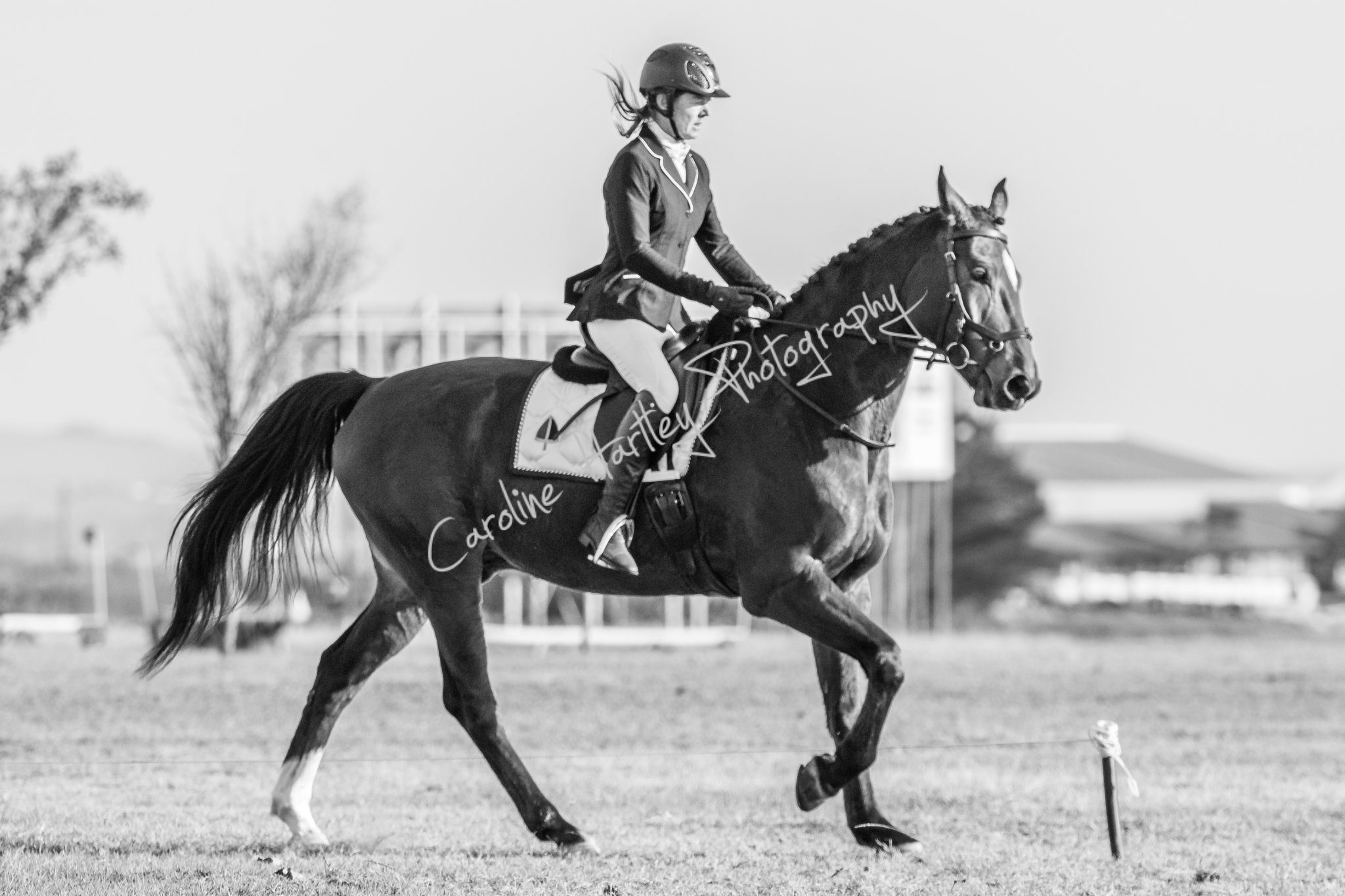 CHP Equine Cross Country 06