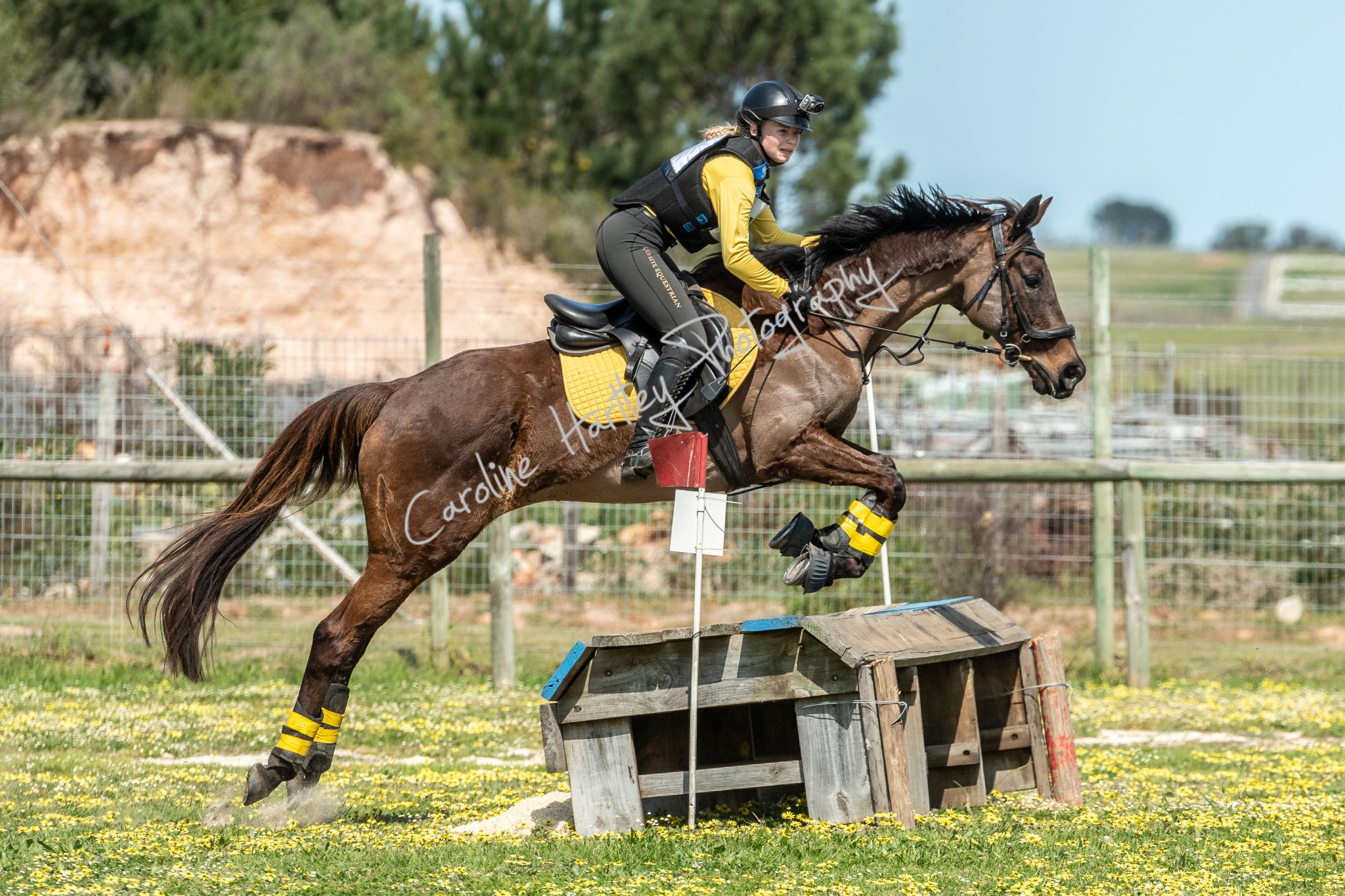 CHP Equine Cross Country 08