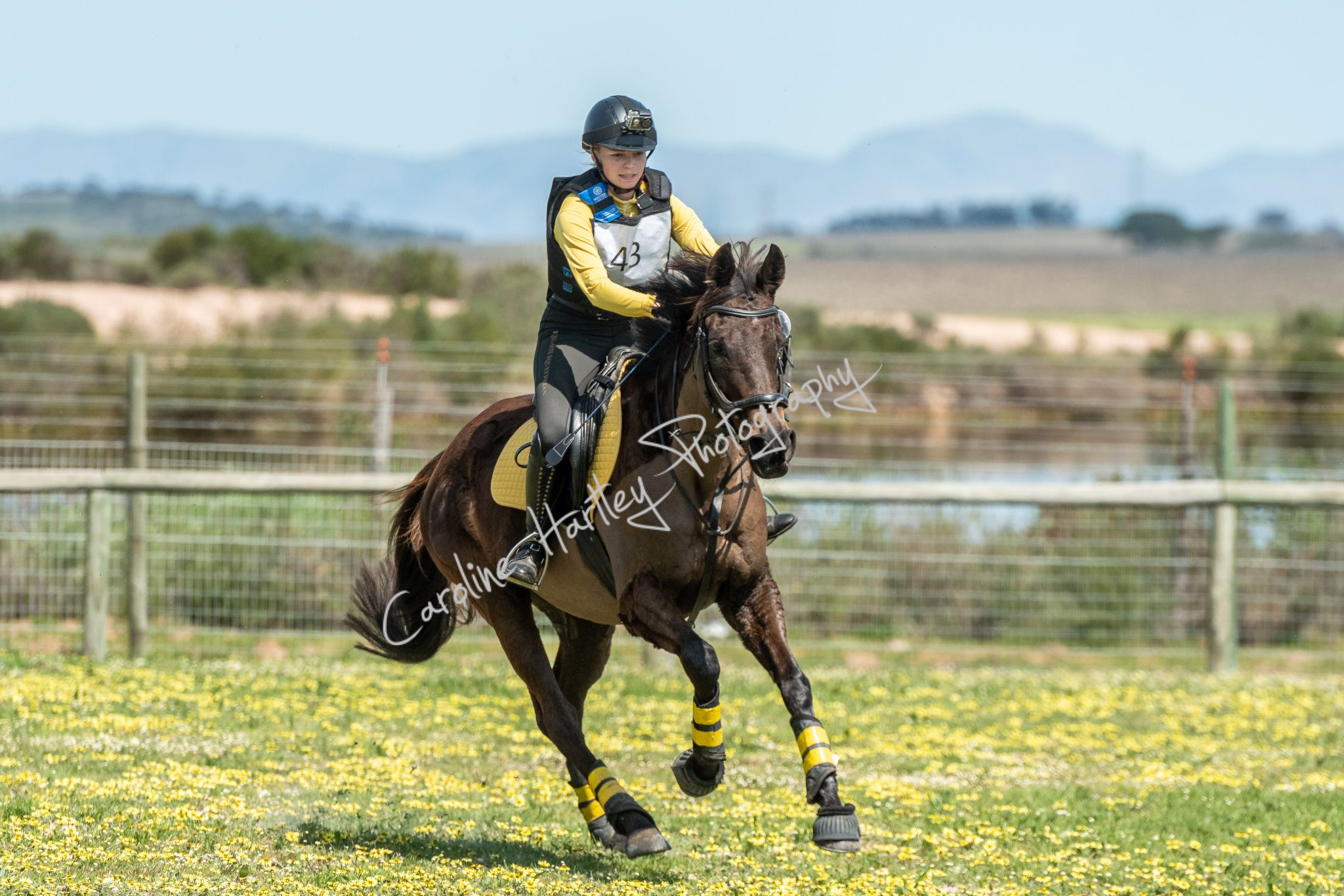 CHP Equine Cross Country 09