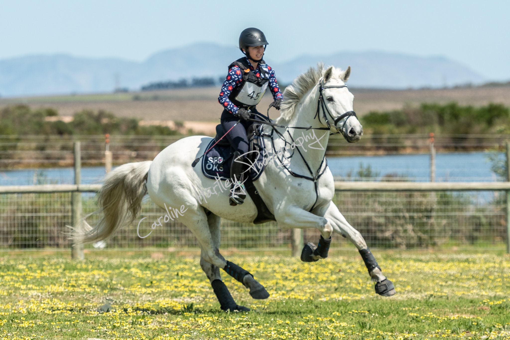 CHP Equine Cross Country 10