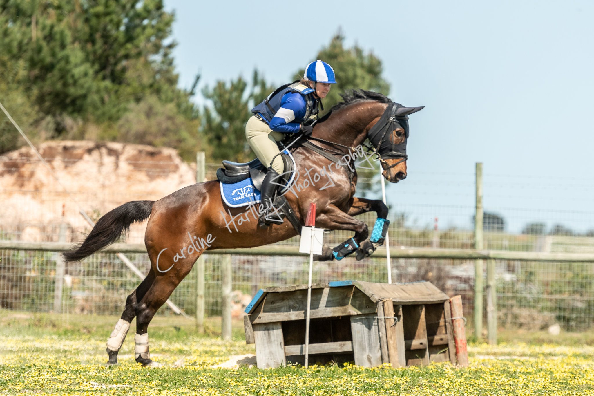 CHP Equine Cross Country 11