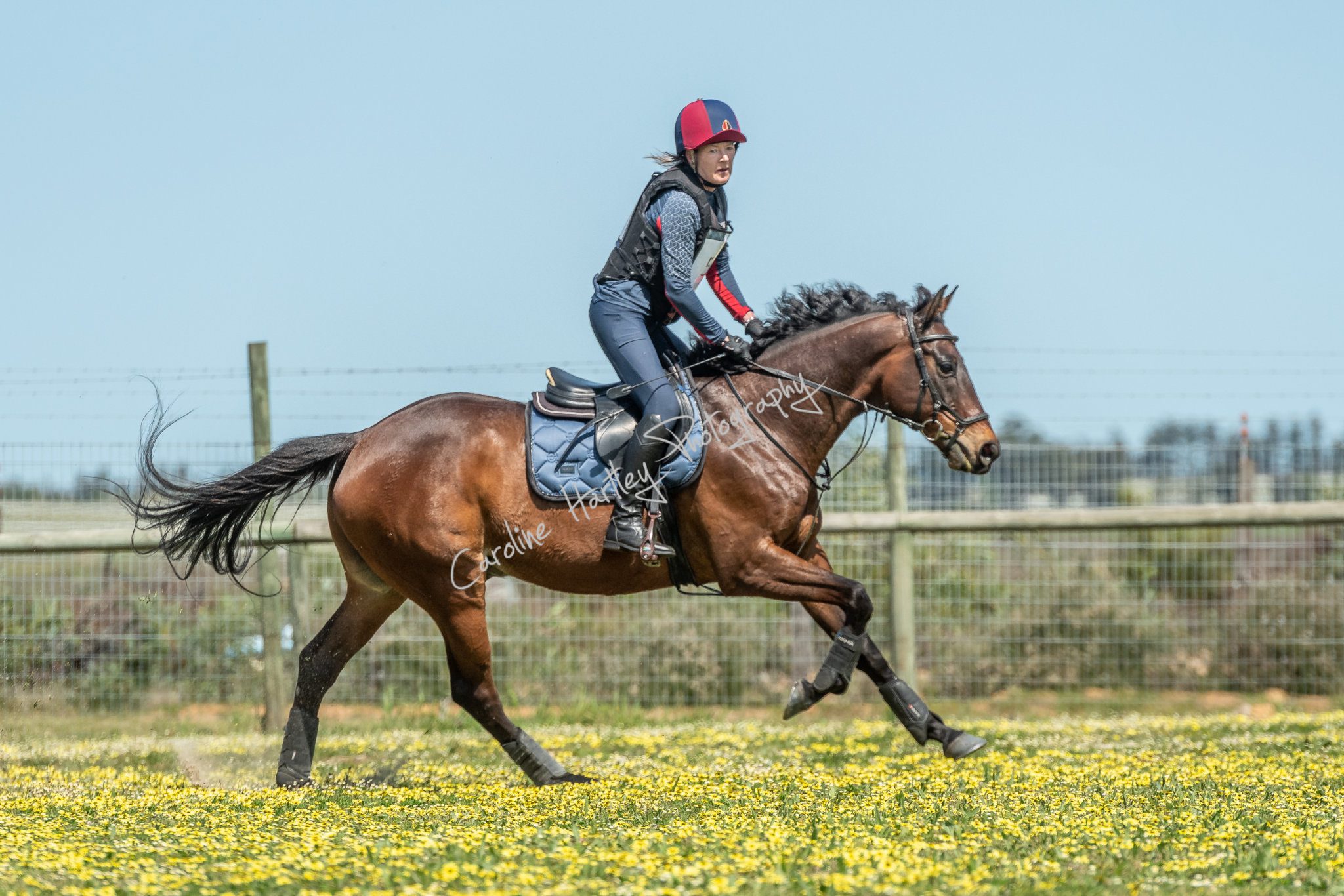 CHP Equine Cross Country 12