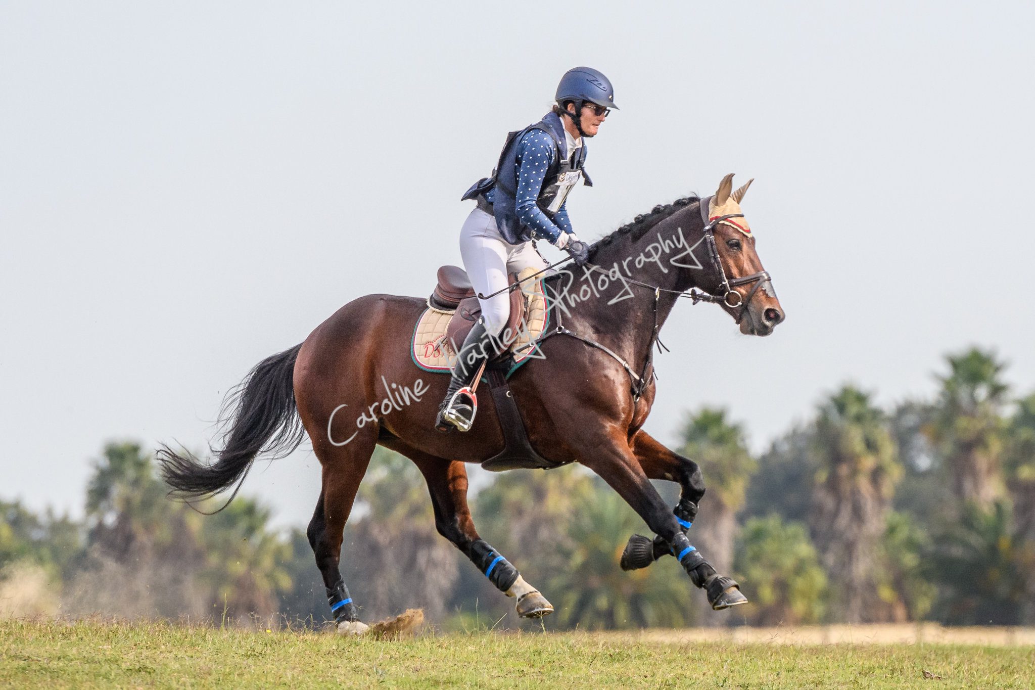 CHP Equine Cross Country 15
