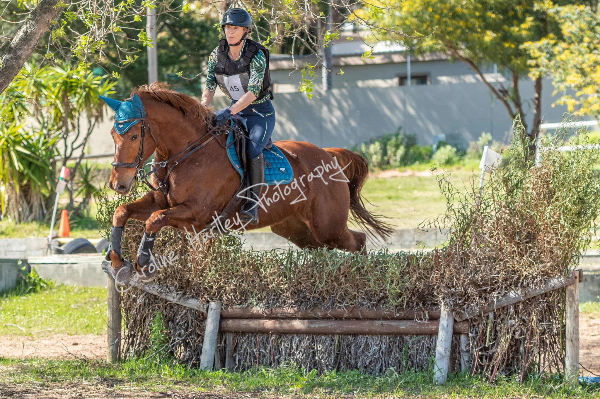 CHP Eventing 01