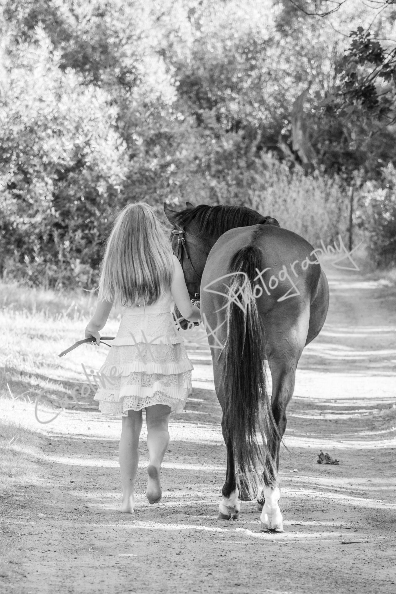 CHP Private Shoot 12