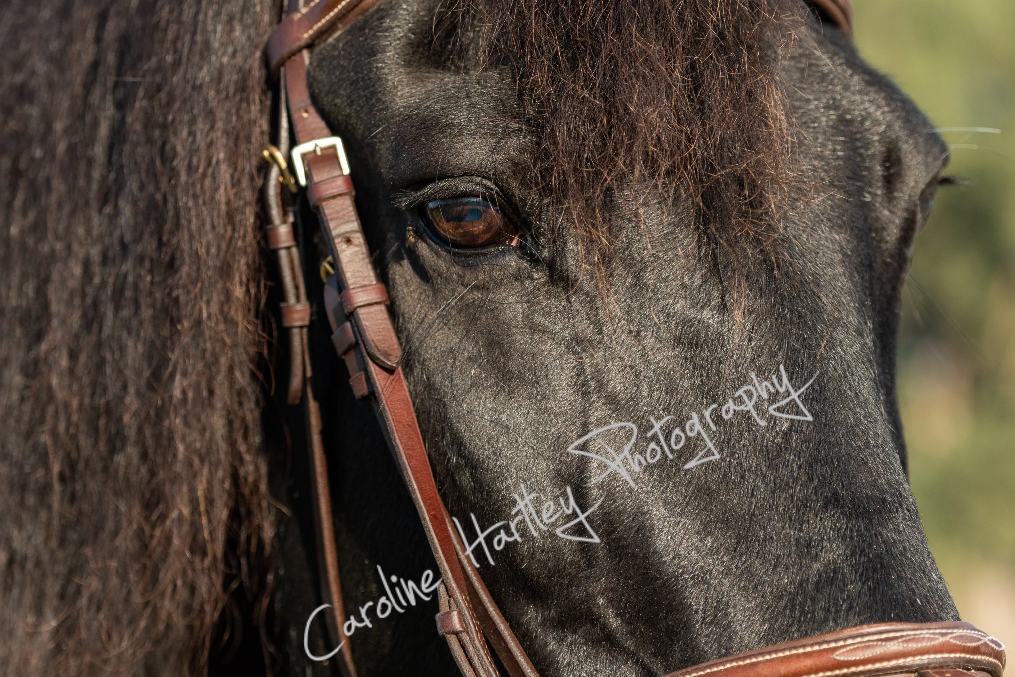 CHP Private Shoot 19