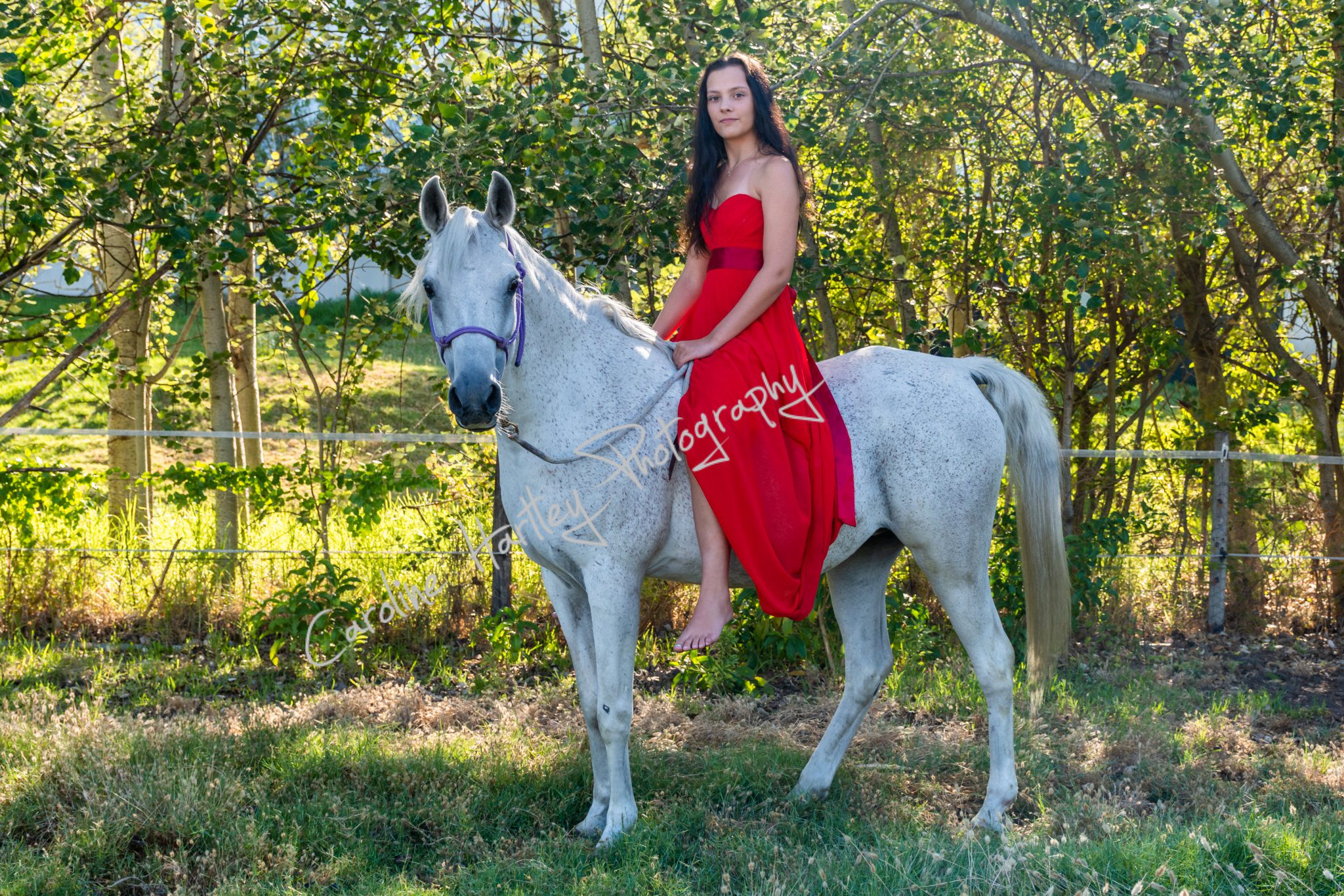 CHP Private Shoot 20