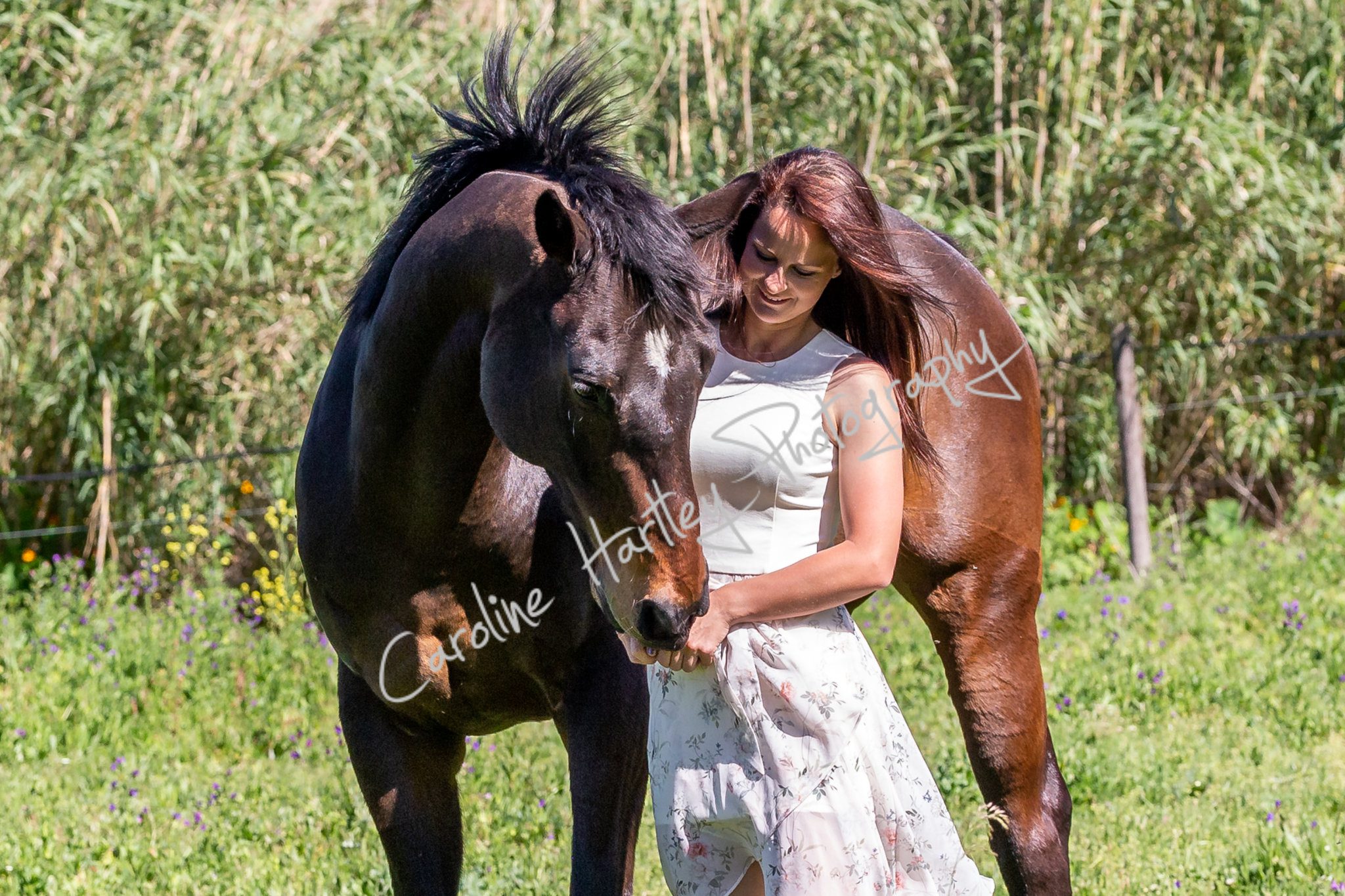 CHP Private Shoot 26