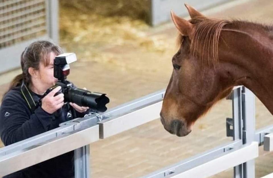 Caroline Hartley taking a picture of a horse